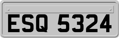 ESQ5324