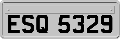 ESQ5329