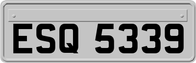 ESQ5339