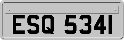 ESQ5341