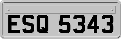 ESQ5343