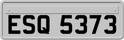 ESQ5373