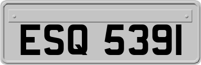 ESQ5391