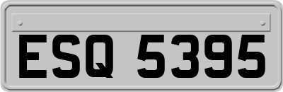 ESQ5395