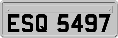 ESQ5497