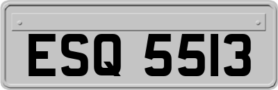 ESQ5513