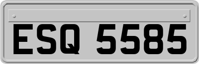 ESQ5585
