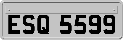 ESQ5599