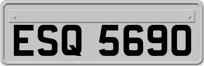 ESQ5690