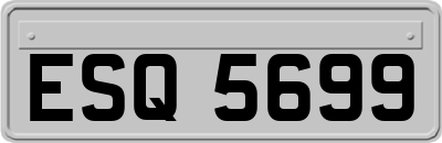 ESQ5699