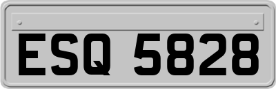 ESQ5828