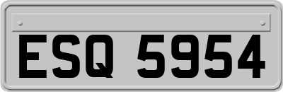 ESQ5954