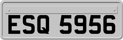 ESQ5956