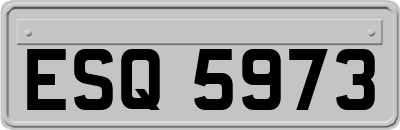 ESQ5973