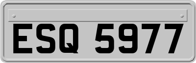 ESQ5977