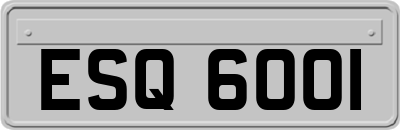 ESQ6001
