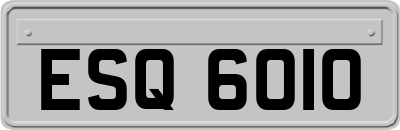 ESQ6010