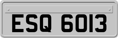 ESQ6013