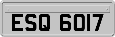 ESQ6017