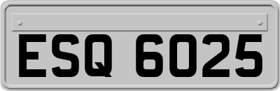 ESQ6025