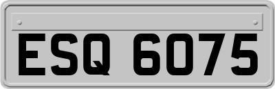 ESQ6075
