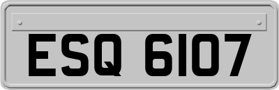 ESQ6107