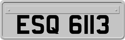 ESQ6113