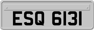 ESQ6131