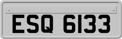 ESQ6133