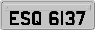 ESQ6137