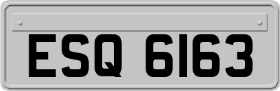 ESQ6163