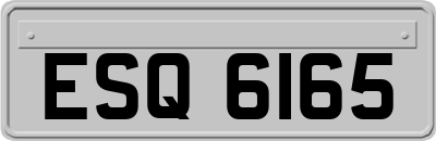 ESQ6165