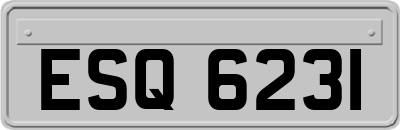 ESQ6231