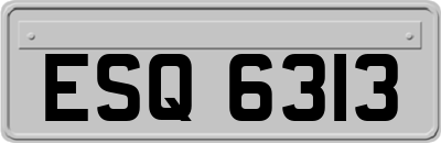 ESQ6313