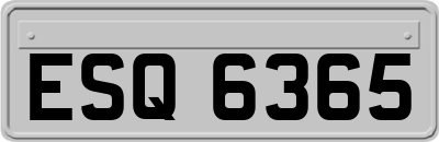 ESQ6365