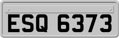 ESQ6373