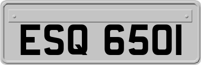 ESQ6501