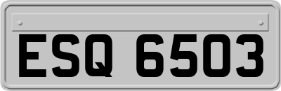 ESQ6503