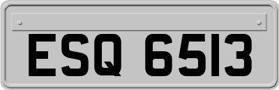 ESQ6513
