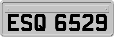 ESQ6529