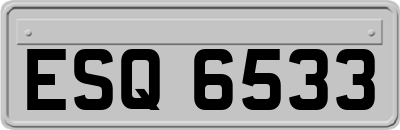 ESQ6533