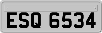 ESQ6534