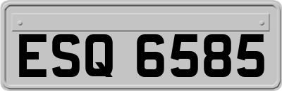 ESQ6585
