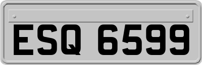 ESQ6599