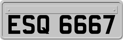 ESQ6667
