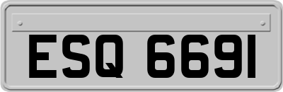 ESQ6691