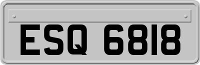 ESQ6818
