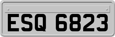 ESQ6823