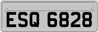ESQ6828