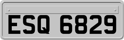 ESQ6829